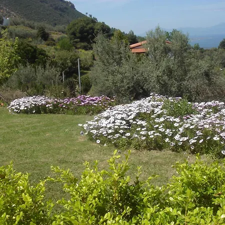 Theasi Hotell