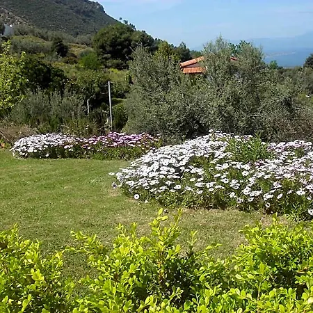 Hotel Theasi Diakopto