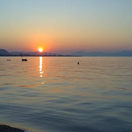 Theasi 디아코프토